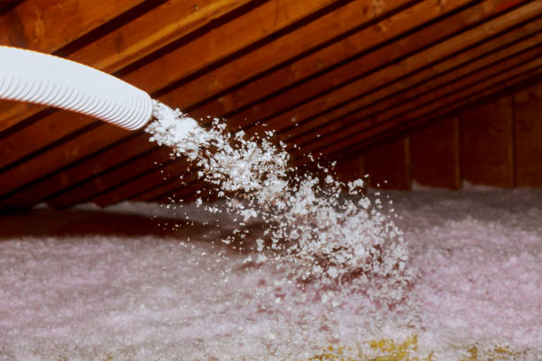 Types of Insulation We Offer in Overland Park, KS